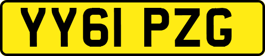 YY61PZG