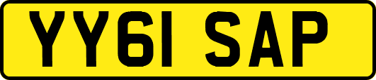 YY61SAP