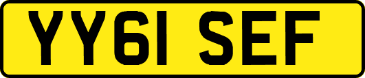 YY61SEF