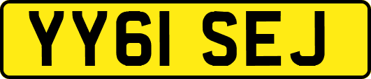 YY61SEJ