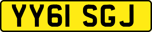 YY61SGJ