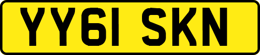 YY61SKN