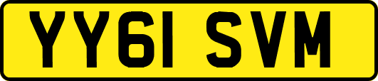 YY61SVM