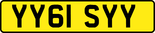 YY61SYY