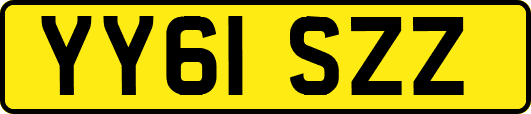 YY61SZZ