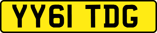 YY61TDG