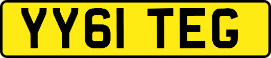 YY61TEG