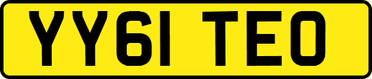 YY61TEO