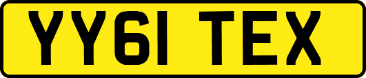 YY61TEX
