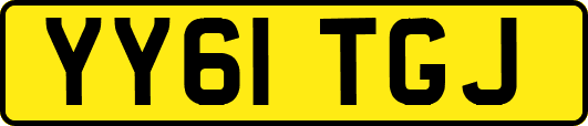 YY61TGJ