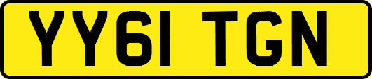 YY61TGN