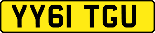 YY61TGU
