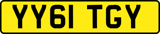 YY61TGY