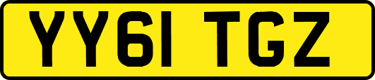 YY61TGZ