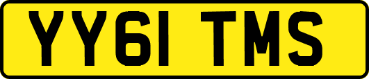 YY61TMS