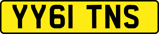 YY61TNS