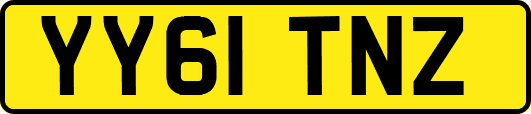 YY61TNZ