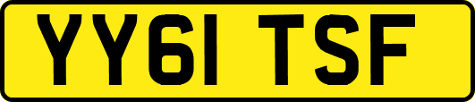 YY61TSF