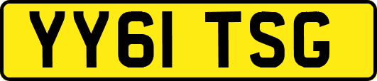 YY61TSG