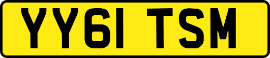YY61TSM
