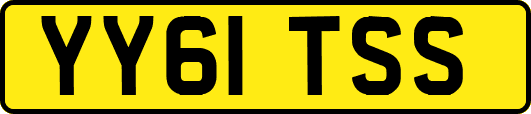 YY61TSS