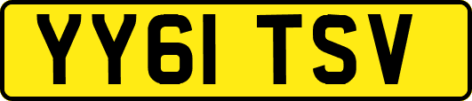 YY61TSV