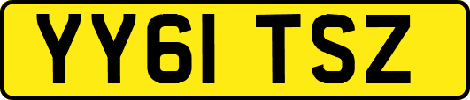 YY61TSZ