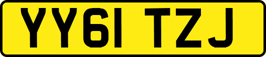 YY61TZJ