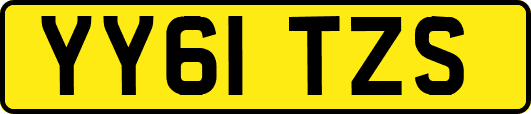 YY61TZS