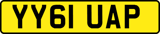 YY61UAP