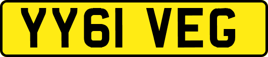 YY61VEG