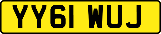 YY61WUJ