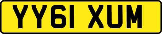 YY61XUM