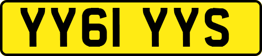 YY61YYS