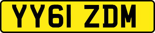 YY61ZDM