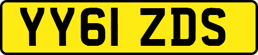 YY61ZDS