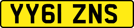 YY61ZNS