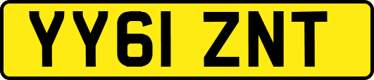 YY61ZNT