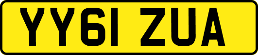 YY61ZUA