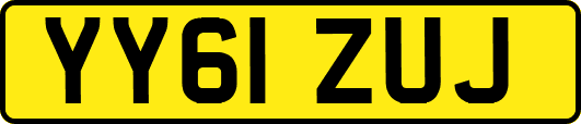 YY61ZUJ