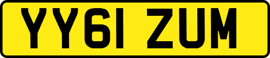 YY61ZUM