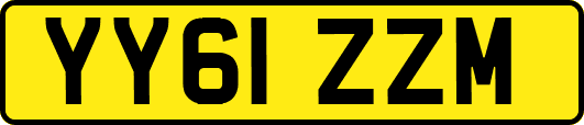 YY61ZZM
