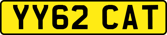 YY62CAT