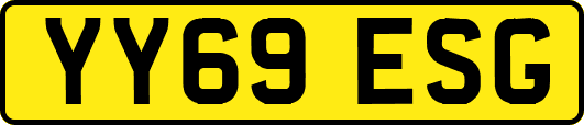 YY69ESG