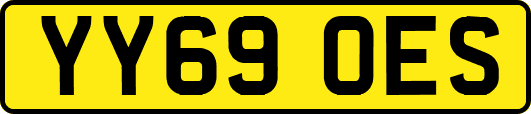 YY69OES
