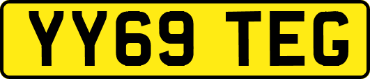 YY69TEG