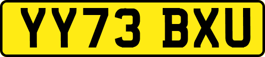 YY73BXU