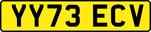 YY73ECV