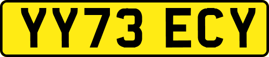 YY73ECY
