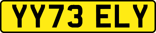 YY73ELY
